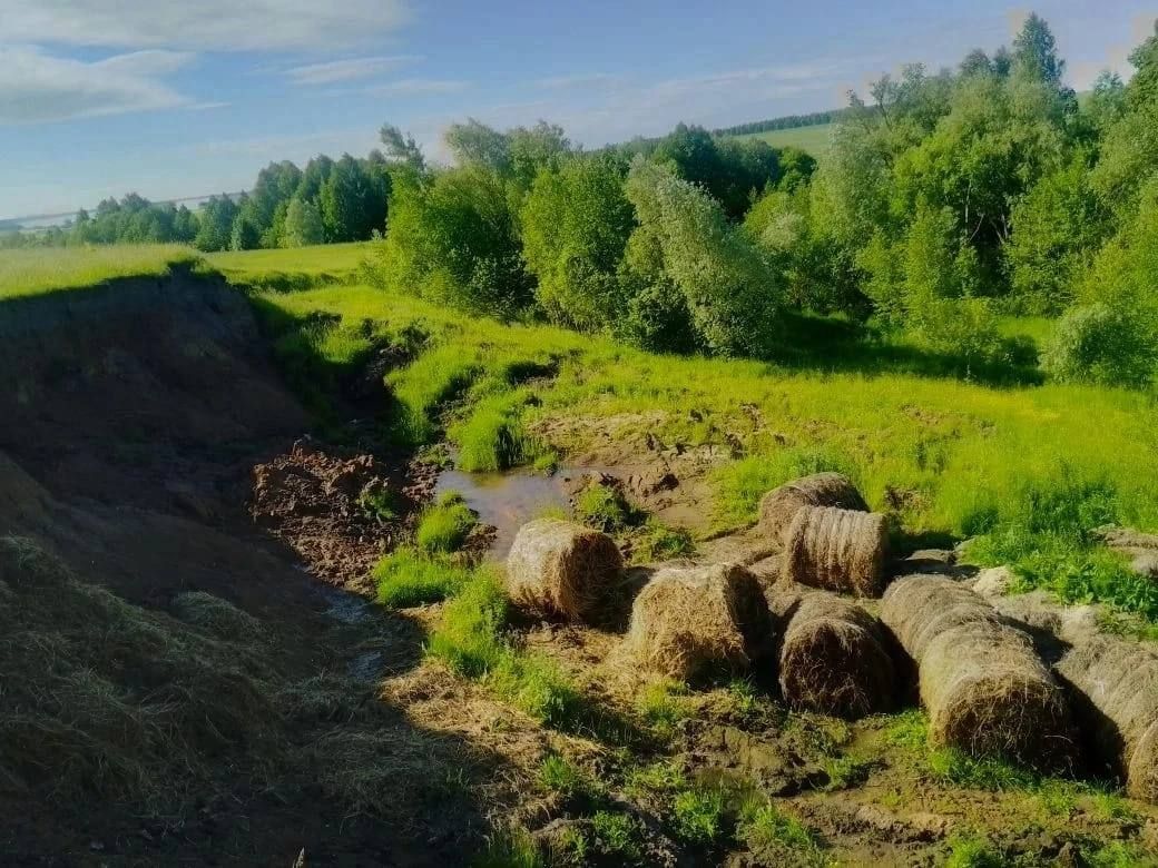 По требованию прокуратуры Аликовского района ряд населенных пунктов муниципального округа очищены от несанкционированных свалок мусора По требованию прокуратуры Аликовского района ряд населенных пунктов муниципального округа очищены от несанкционированных свалок мусора