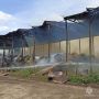 В Шемуршинском округе огонь уничтожил почти 500 рулонов сена