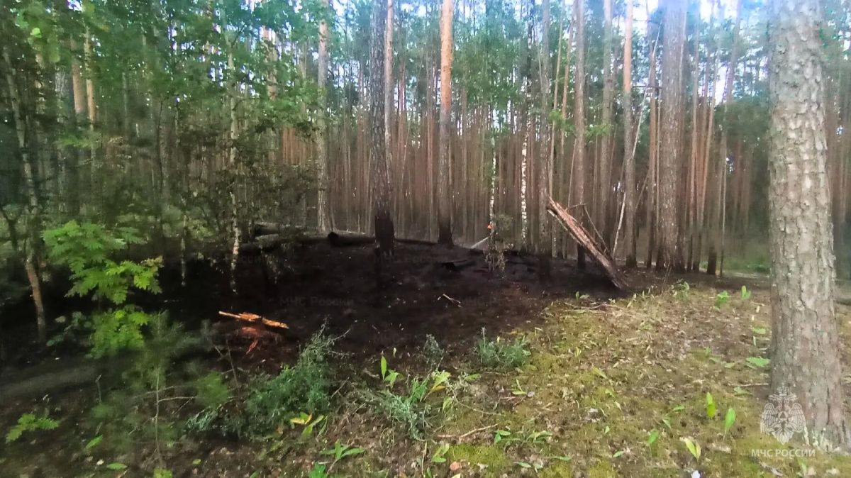 В Чувашии потушили первый в этом году лесной пожар В Чувашии потушили первый в этом году лесной пожар