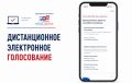 Стартовал прием заявлений на участие в дистанционном электронном голосовании