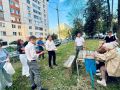 Жители Чебоксар стремятся к переменам: новые проекты по программе «НИМЕ – Народный бюджет»
