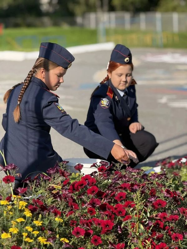 День солидарности в борьбе с терроризмом: в школах Чебоксар прошли мероприятия памяти жертв Беслана День солидарности в борьбе с терроризмом: в школах Чебоксар прошли мероприятия памяти жертв Беслана
