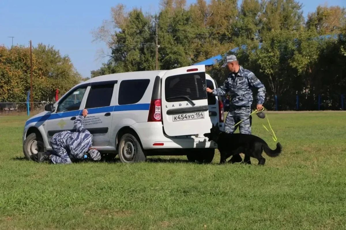 В селе Комарье Доволенского района состоялись межрайонные соревнования между школьниками, посвященные памяти Константина Анфиногенова В селе Комарье Доволенского района состоялись межрайонные соревнования между школьниками, посвященные памяти Константина Анфиногенова