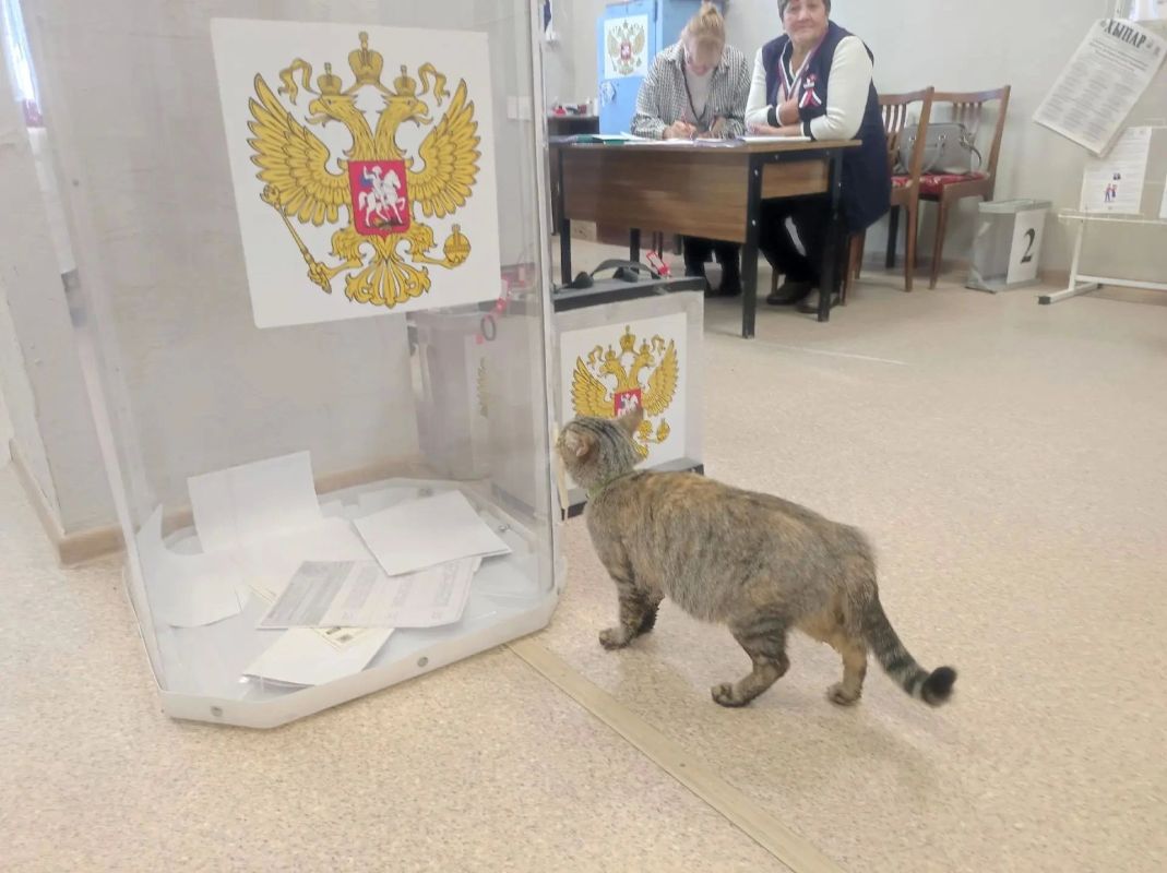 За процессом голосования по всей республике следят наблюдатели