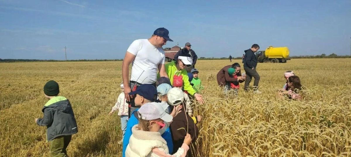 Ибресинские дошколята вышли в поля Ибресинские дошколята вышли в поля