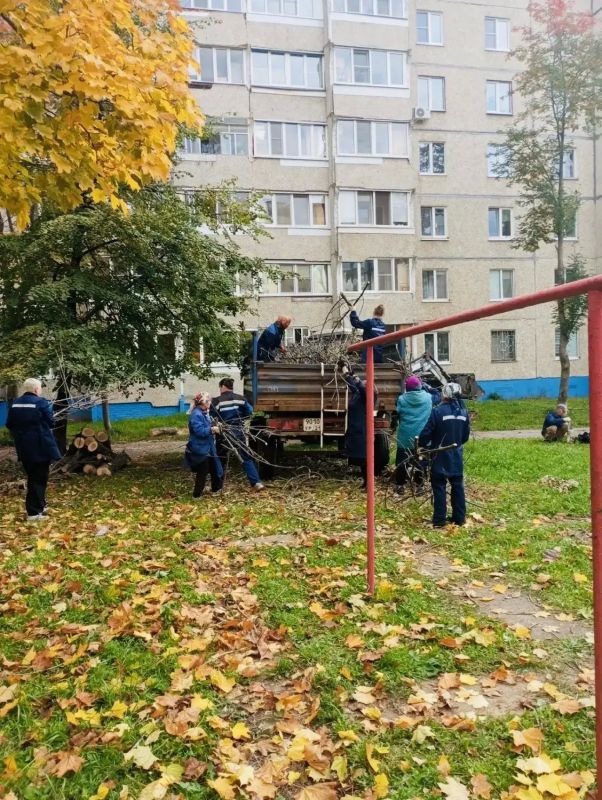 Осенний месячник чистоты в Чебоксарах: наводим порядок вместе Осенний месячник чистоты в Чебоксарах: наводим порядок вместе
