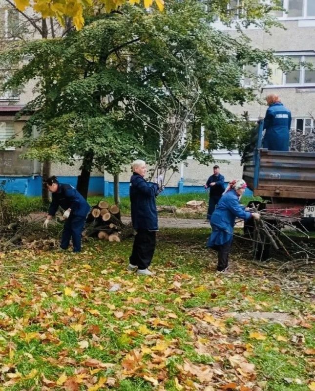 Осенний месячник чистоты в Чебоксарах: наводим порядок вместе Осенний месячник чистоты в Чебоксарах: наводим порядок вместе