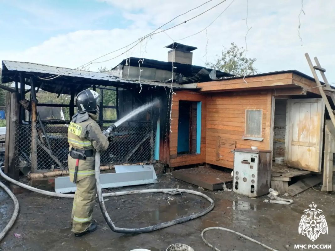 Оперативная сводка за сутки Оперативная сводка за сутки