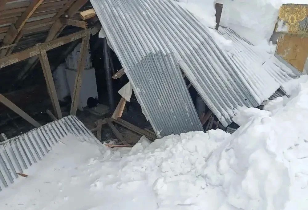 В Алатырском округе вынесен приговор директору обслуживающей жилой дом организации (ООО «Компания Кайрос») В Алатырском округе вынесен приговор директору обслуживающей жилой дом организации (ООО «Компания Кайрос»)