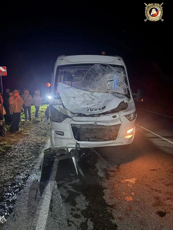 В Чувашии туристический автобус сбил лося на трассе В Чувашии туристический автобус сбил лося на трассе