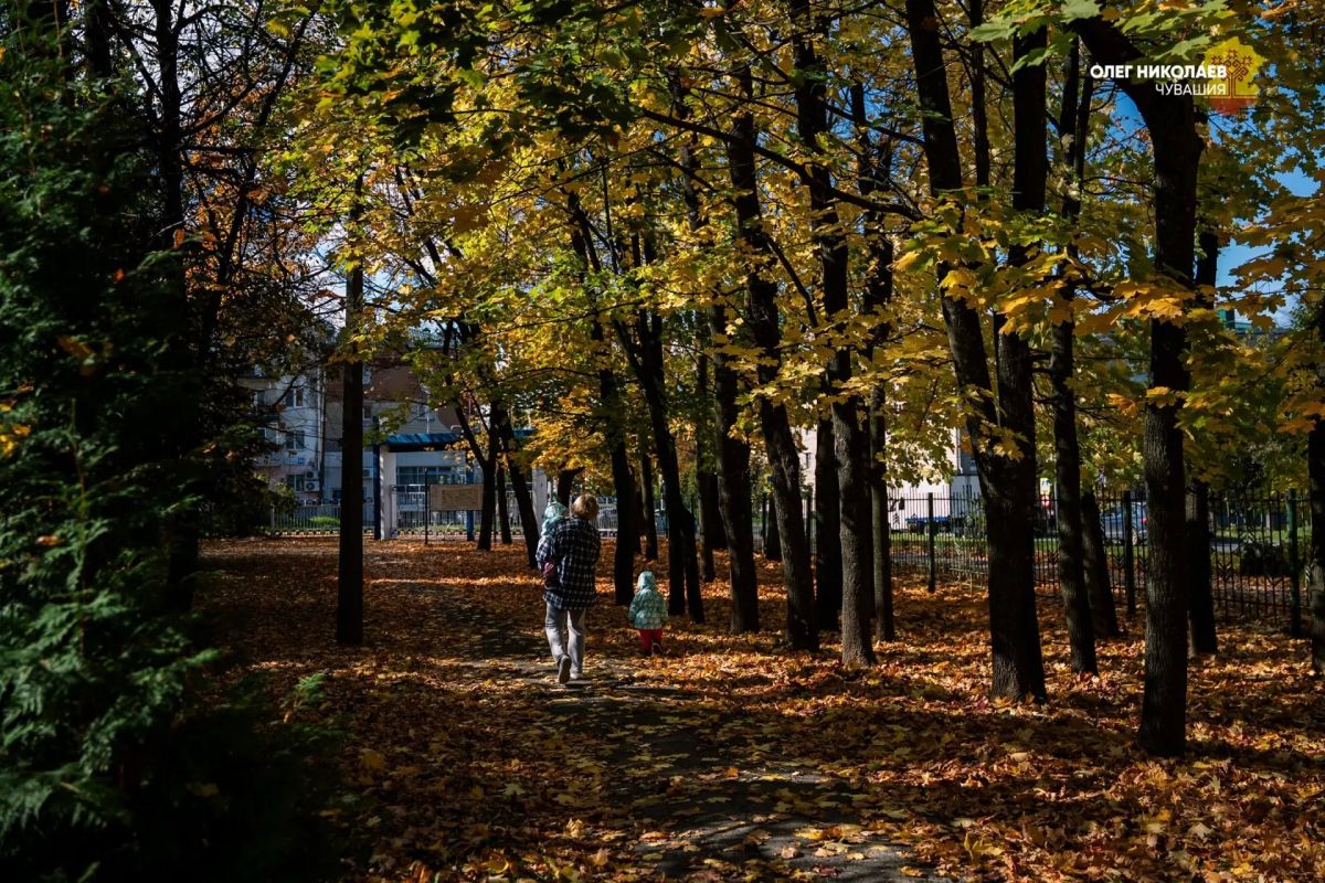 Олег Николаев: Дорогие земляки!. Золотая осень продолжает радовать нас своей красотой и тёплой погодой Олег Николаев: Дорогие земляки!. Золотая осень продолжает радовать нас своей красотой и тёплой погодой