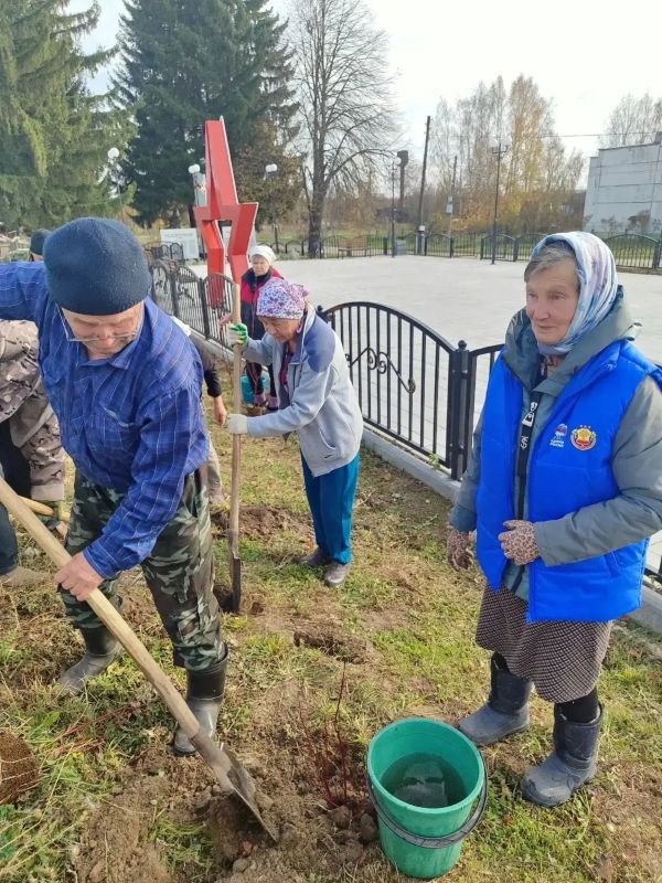 В Шумерлинском округе высадили Аллею памяти В Шумерлинском округе высадили Аллею памяти