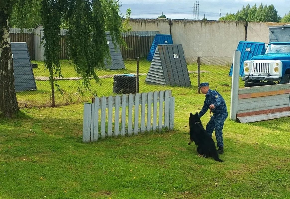 В Чувашии служебные собаки УФСИН прошли проверку профессиональных навыков
