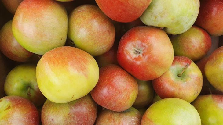 Вкусные и полезные квашеные яблоки на зиму: рецепт, который хвалят все хозяйки