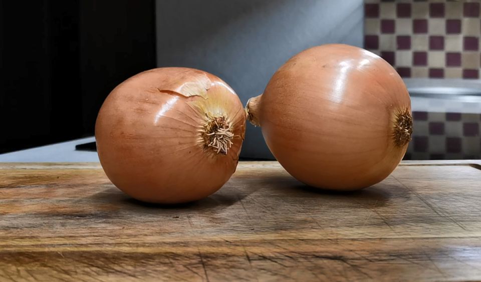 Секреты приготовления быстро и вкусно: удивительная закуска с луком