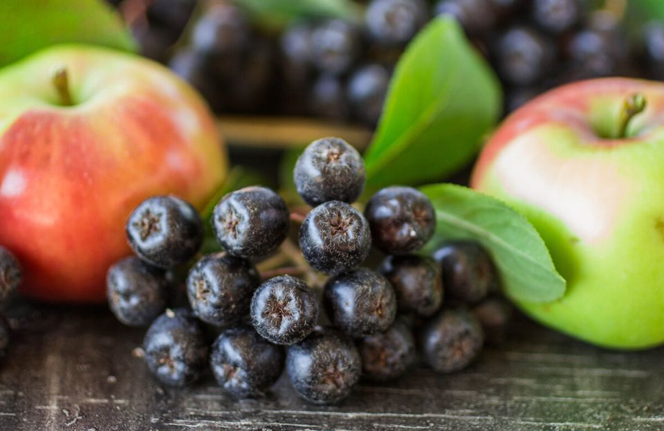 Пять удивительных способов заготовки черноплодной рябины на зиму