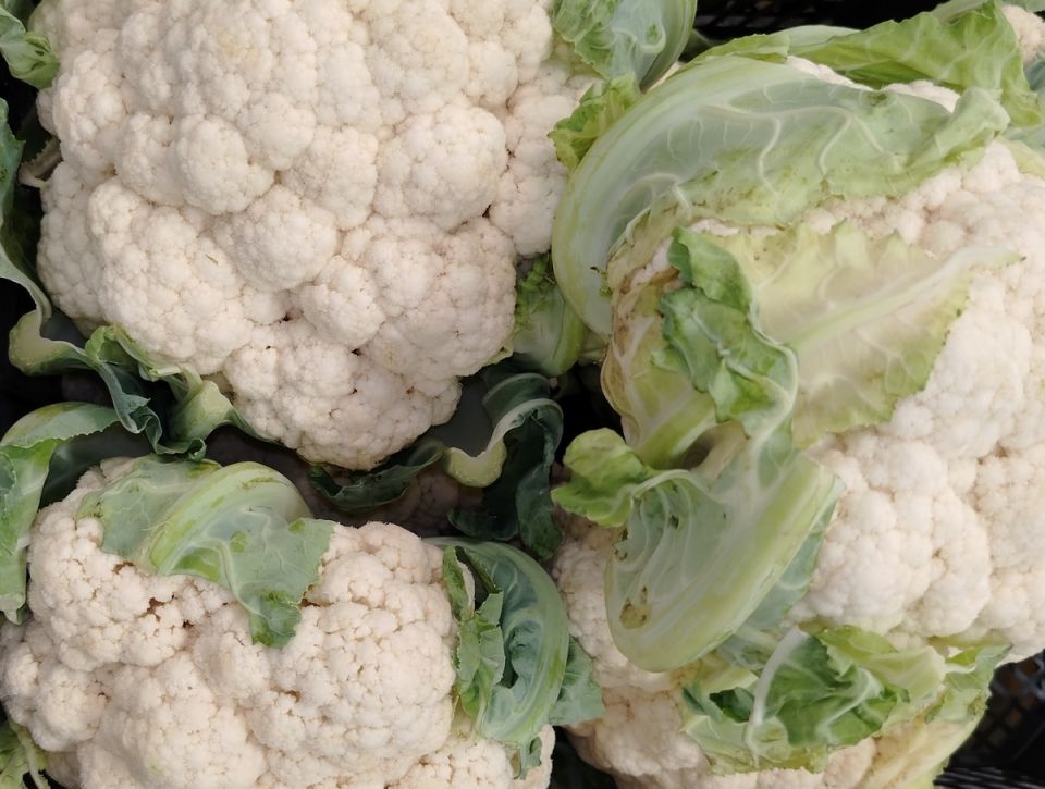 Что будет модно на российском столе в ближайшие годы: тренды в агропроизводстве