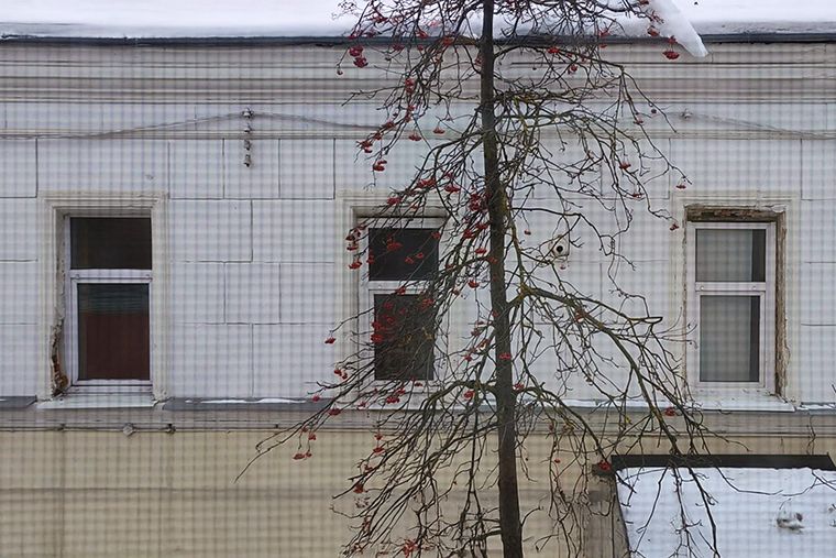 Что делать, если труба соседа мешает вашему фасаду: пошаговое руководство