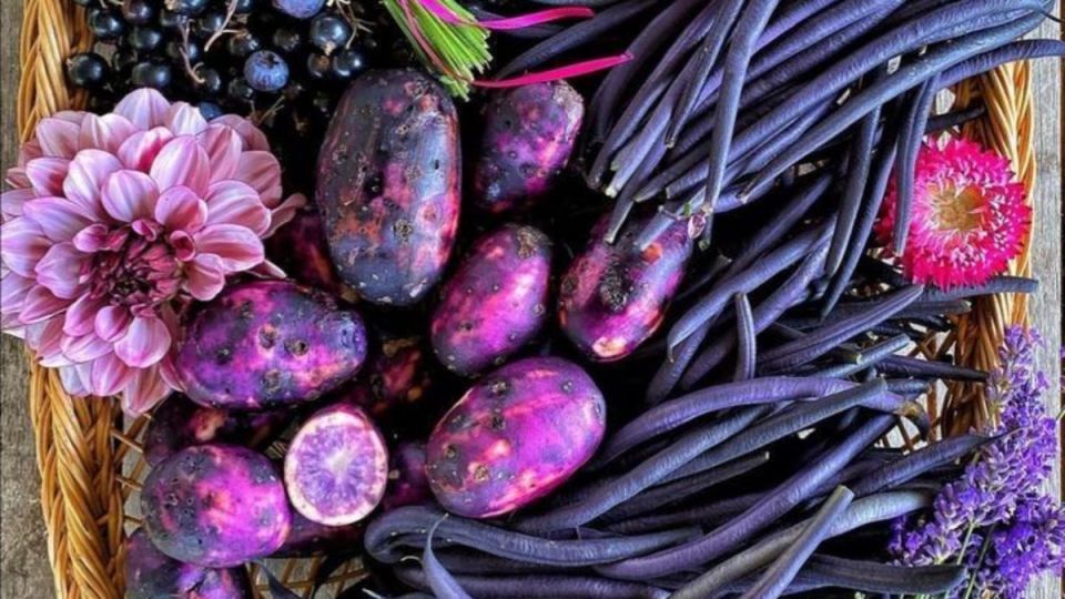 ���������� �����: ������ ��������� �� ����� �����