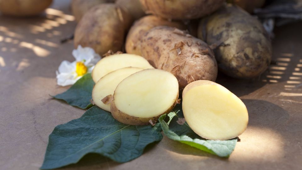 ������ � ����� � ��������� ���� �����: �� ��������� �� ��������� �����