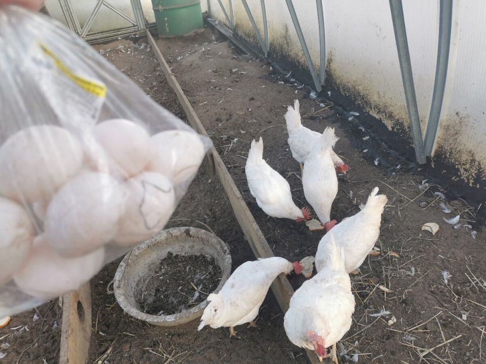 ������ ���� �-2 � ������ ����� ��� ������ �����?