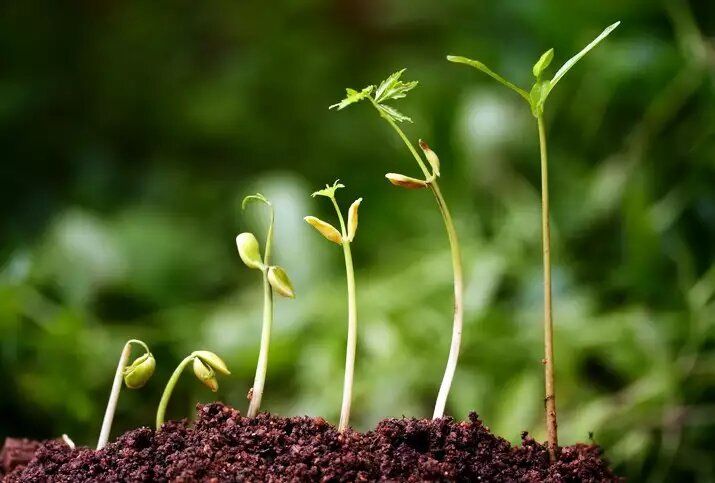 ����� � ��� ������ ���������: ����� � ������ ��� ������� �������