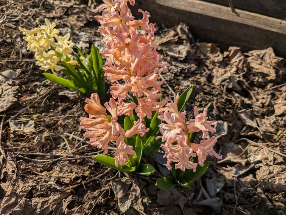 �������� ������� ��������� � Telegram: ��� ����� �� ���� �������?