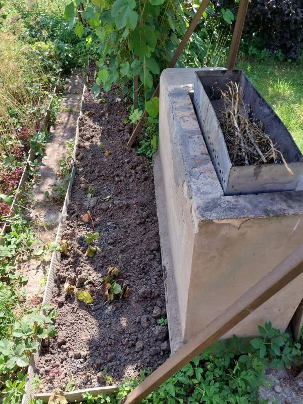 �������� �������: ��� ������� �������� ������, �� ������� �� ���� ��� ��������