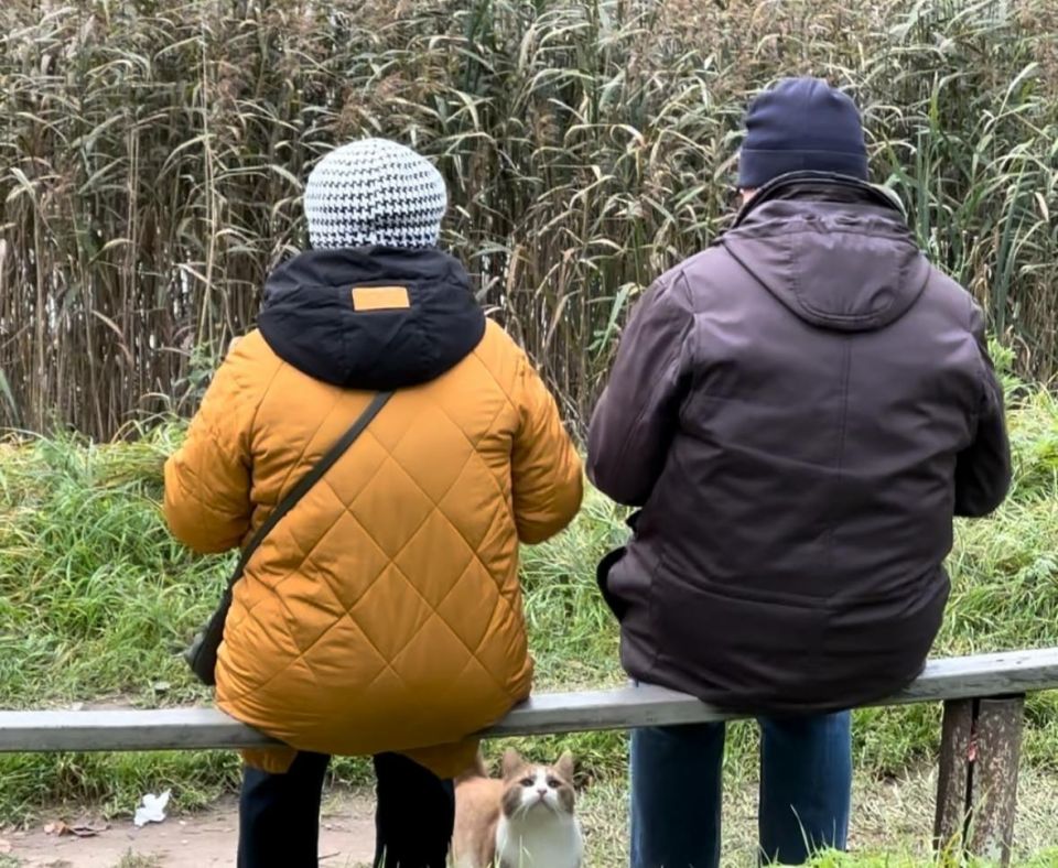 ������ � ��������� ��� ����������� ����� 70 ���: ���� �������