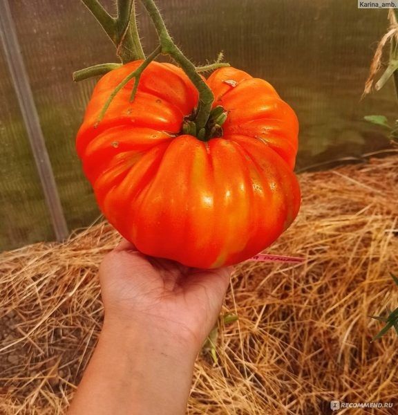 ����� ����� �������� � ��������: ������������� ����� � ���� �� ������ �����