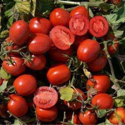 ����� ������� ���: ������ ������ ������� � ������� ������ ��� ���� �����