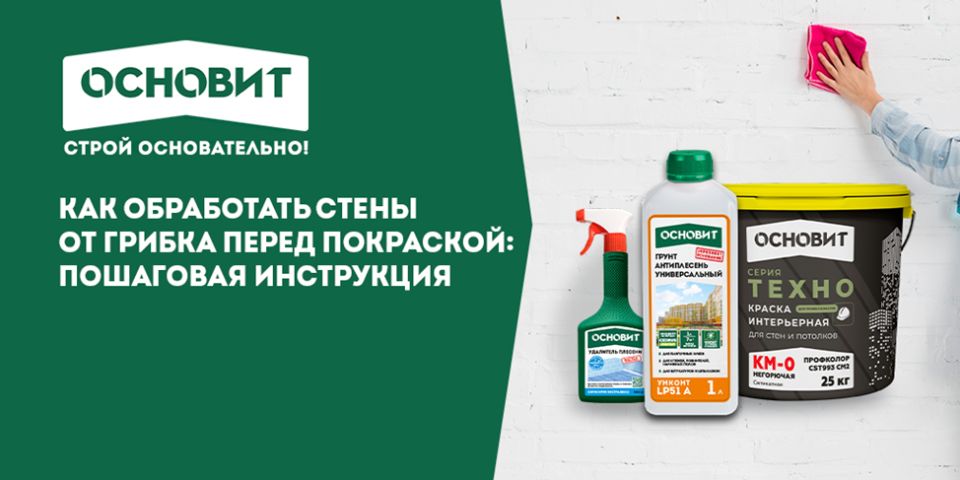 Навсегда против плесени: пошаговая система ОСНОВИТ для подготовки стен перед покраской
