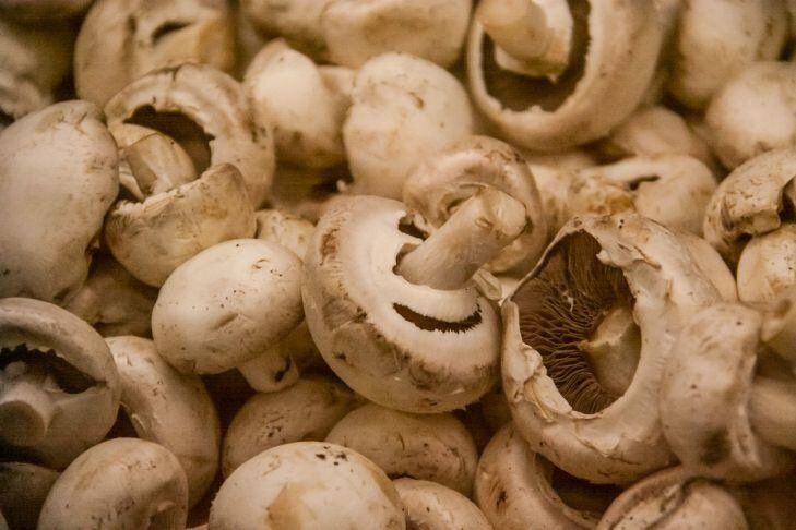 ��� ������� ������� ���������� ����������� � ����������: �� ���� ���� ��� �����