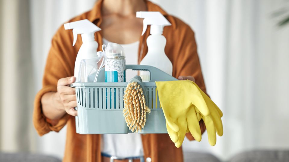 У каждого дачника найдется это средство: станет спасением против черной плесени