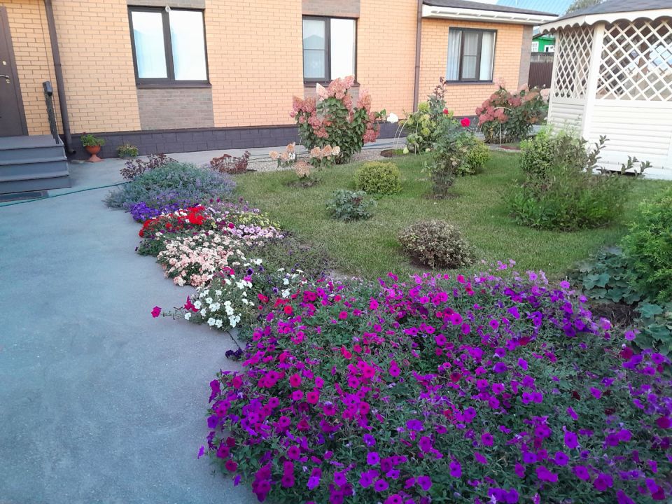 ����� ����� ������� �����������: ������ �� ����� �� �����