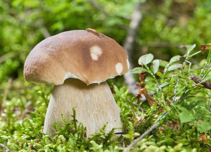 ��� ��������� ����� �� ����: ������� ���� � ������