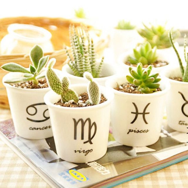 ��������� ��������, ������� ���������� ��� ��������