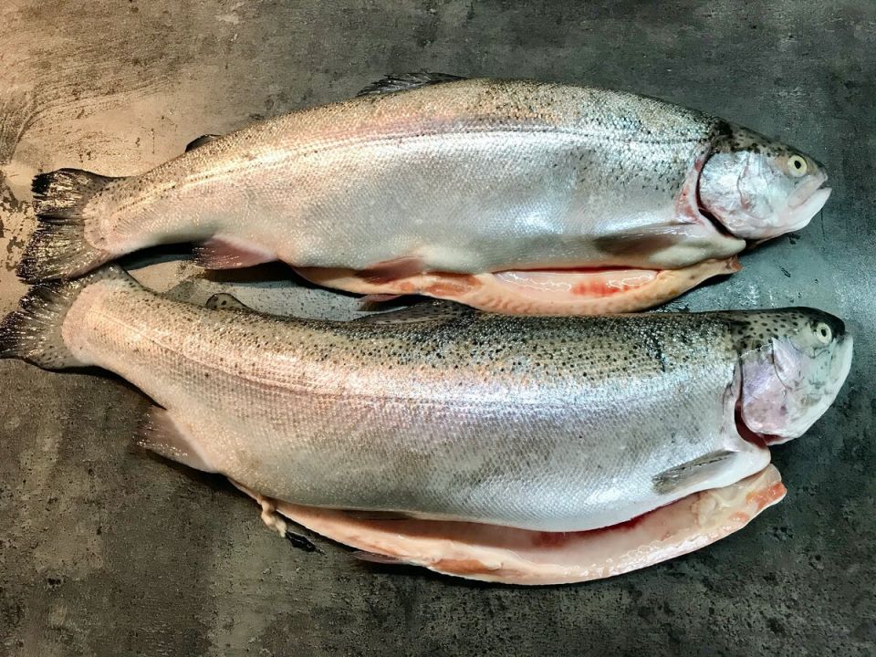 ��������� �������� ����: ������� �� �������� ��������