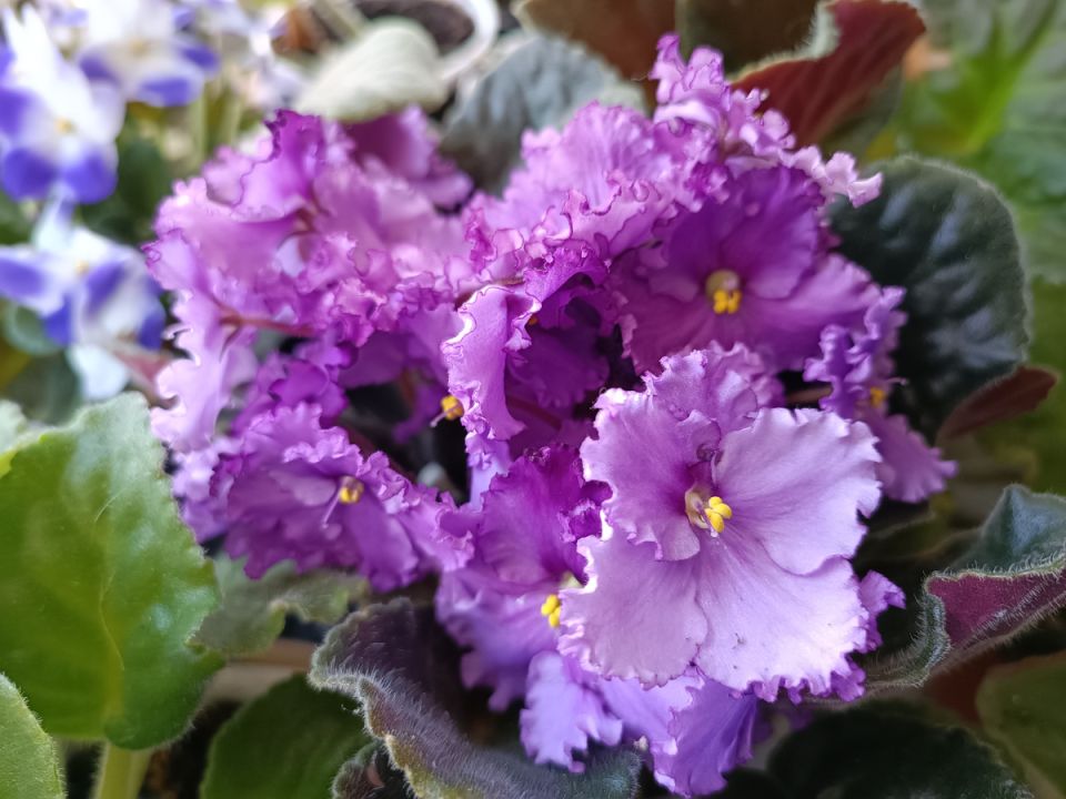 ������ ������ � ��������� ���������: ��� ���������� ������� ���������