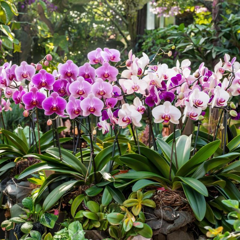 � ���� ����� ���� ����� ��� ���������� � �������� ������� ������ �� �����