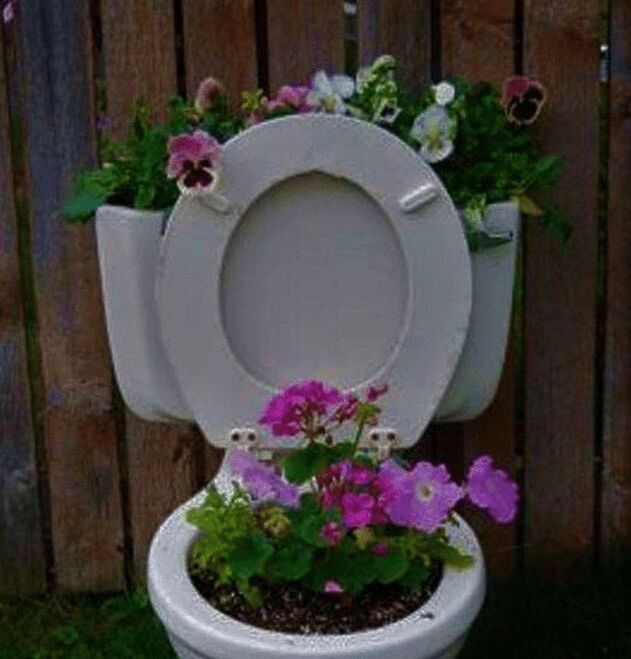 ��� ������ ���� ������ ��� ��� ����������?