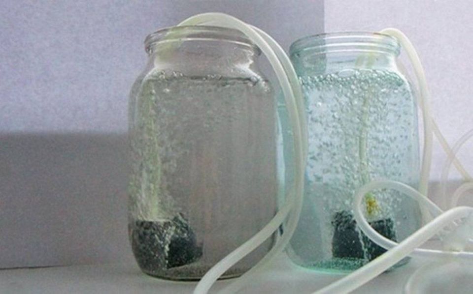 �������������� �����: ������� �������� � ��������� �����������