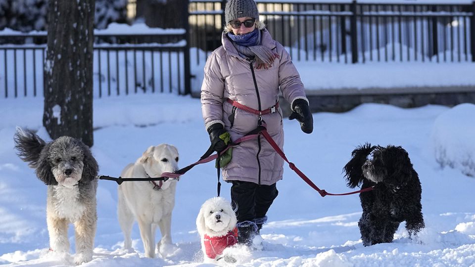 �������� ������������� ������� � 2026 ����