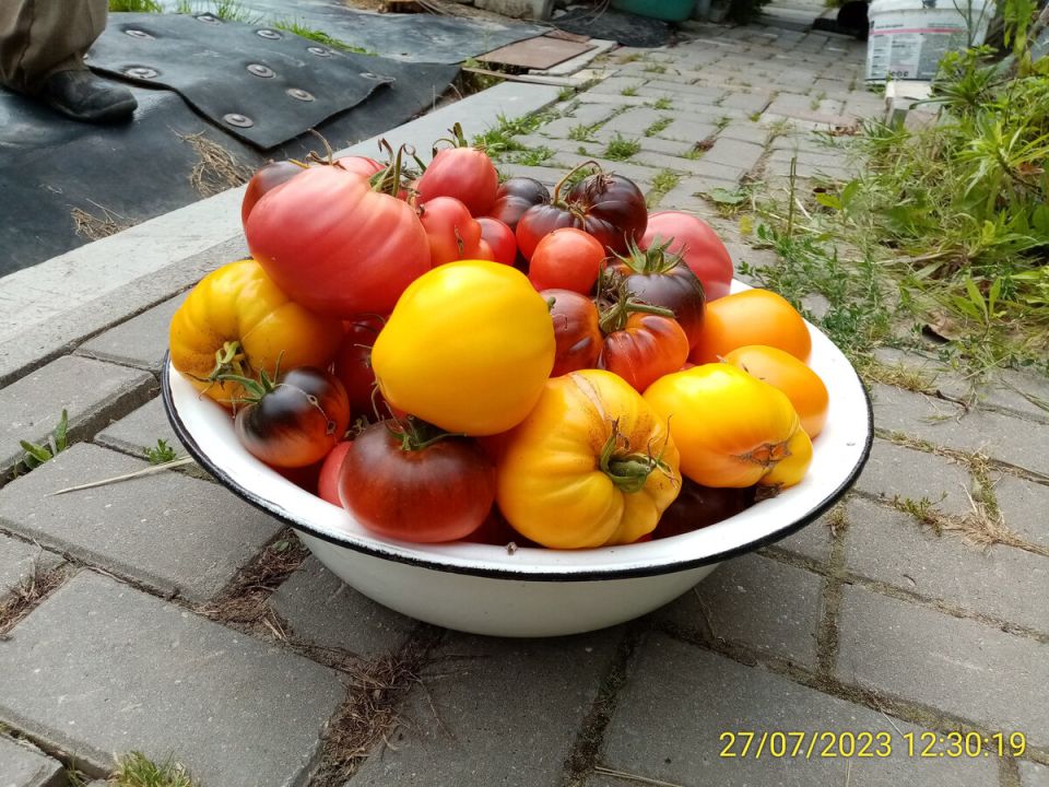 ������ �������� ������� � ������ �� �����