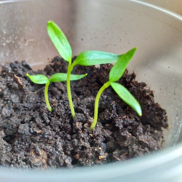 ������ �� ����� � ��������� � ������������ ����� ��� ����� �������