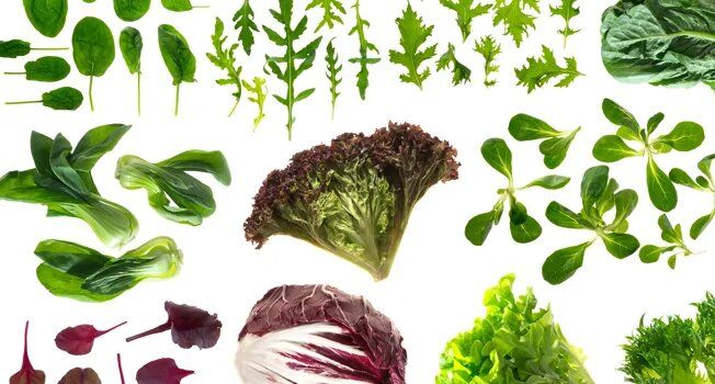 Исследуем разнообразие листовых салатов