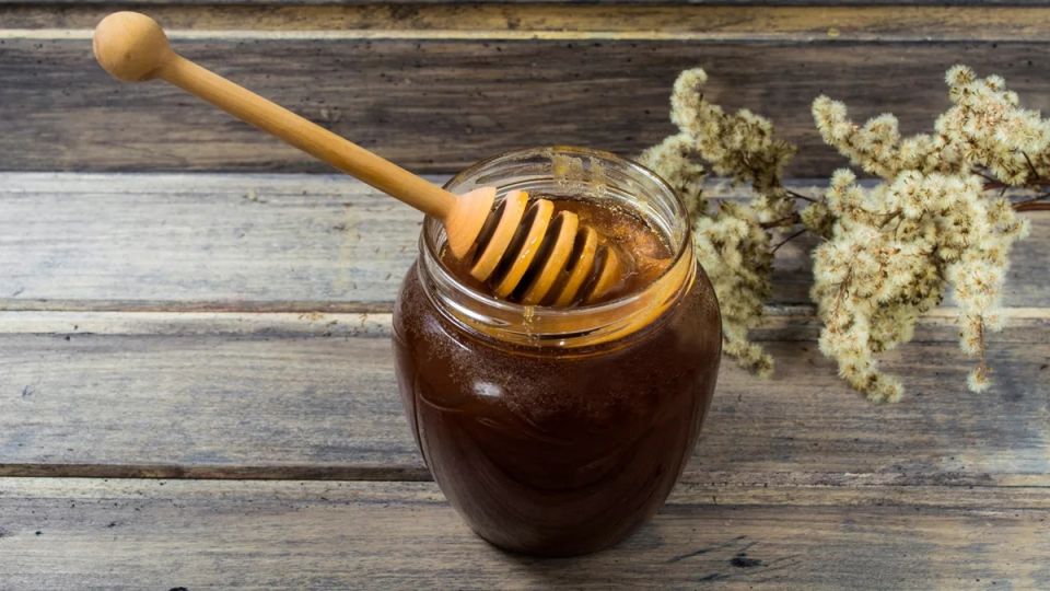 ������ �� ������ ������� �����: ��������� ����� �������� ���������