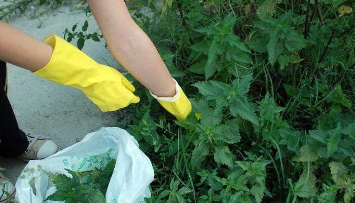 ������� ��� ��������� ���������� ��� ��������� ����������� �������