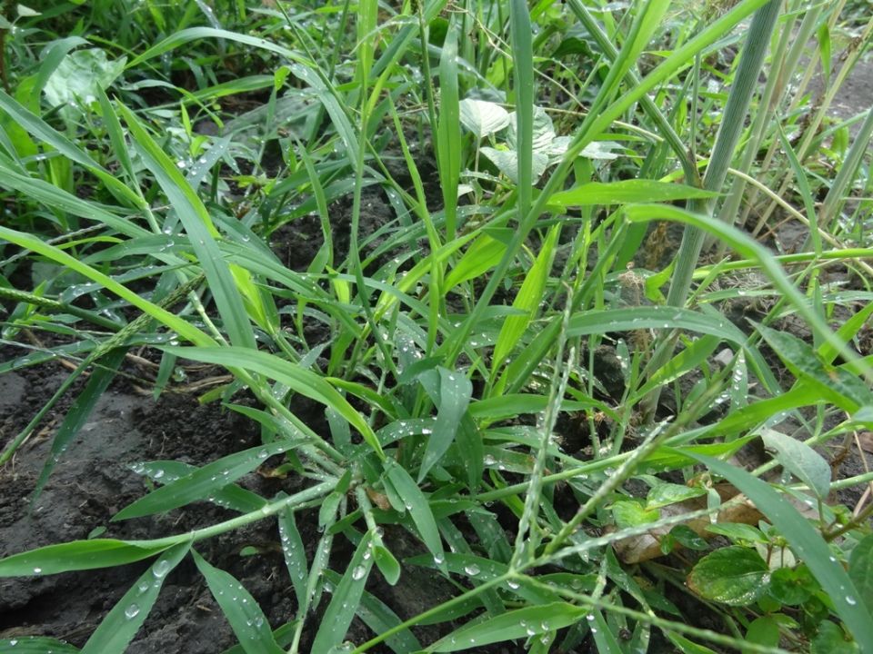 ����� �� ����� �������: ��� ������� � ������ ��������