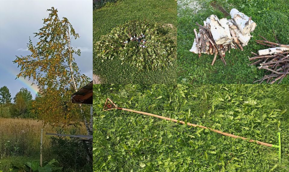 ��� ��������� ������� ������ � ��������� ����� ��������������